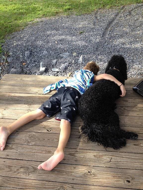Foto 6 von 21: Abgeschiedene Waterfront Get Away am Smith Mountain Lake