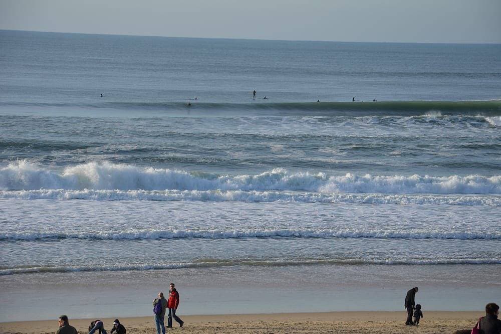 Foto 13 von 15: Klassifizierte Vermietung 2 Sterne 150 Meter vom Strand entfernt