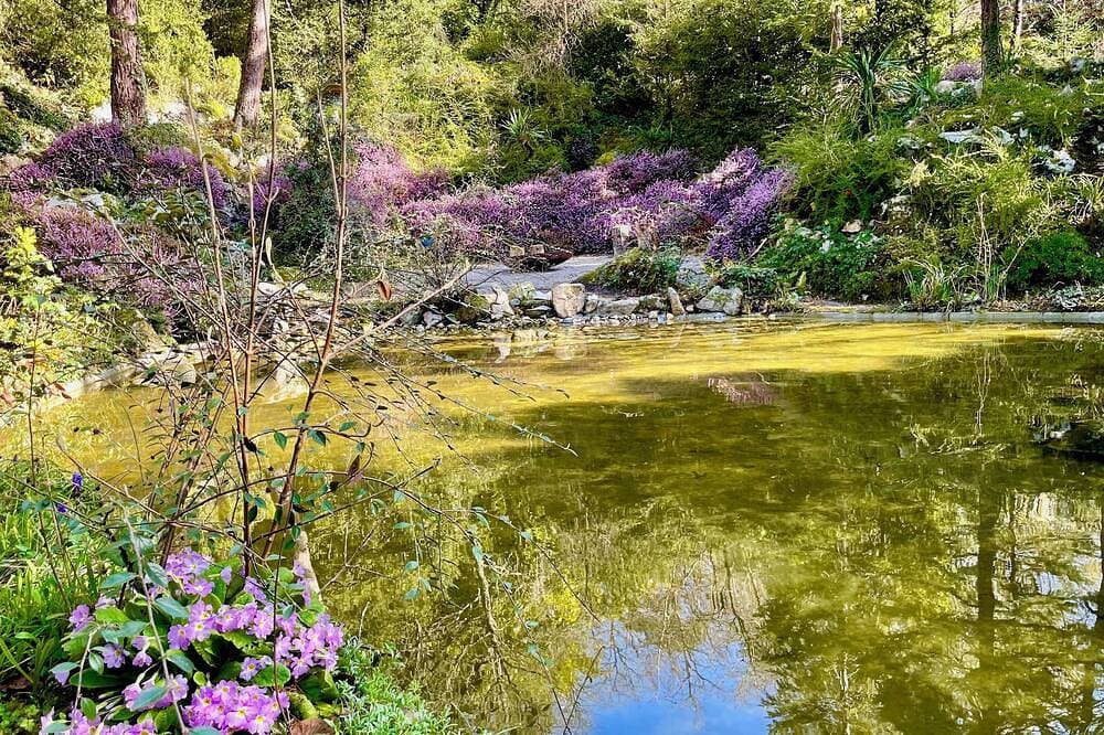 L'Autre Paradis, Natural Pools, Beaches, Enchanted Garden, Sauna 1