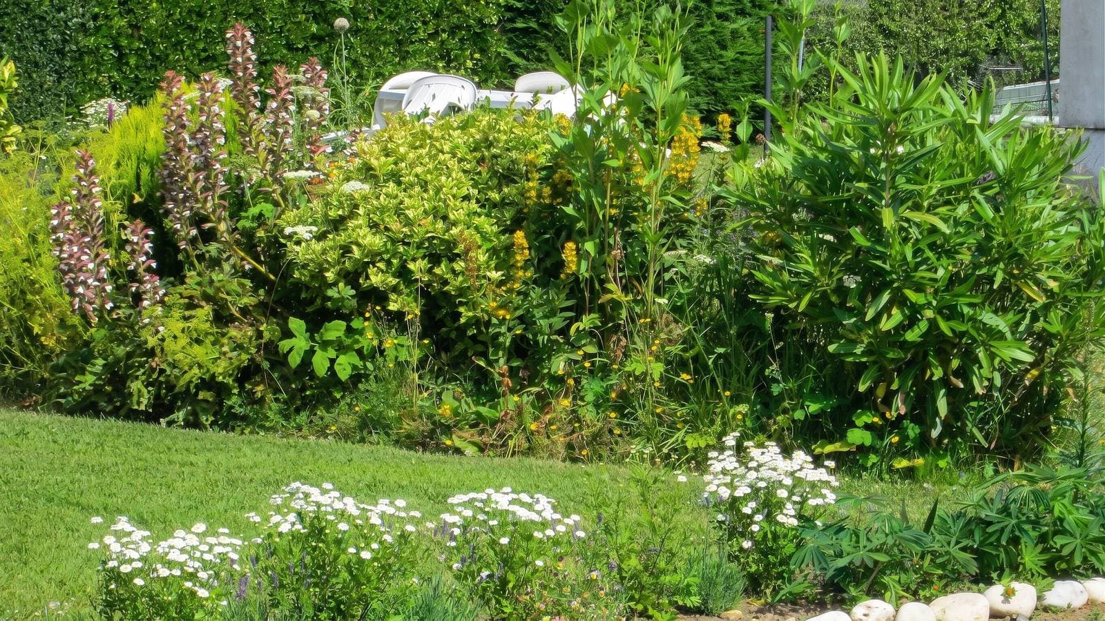 Foto 11 von 13: Charmantes Studio in Vierville-sur-Mer – 30m² mit Garten