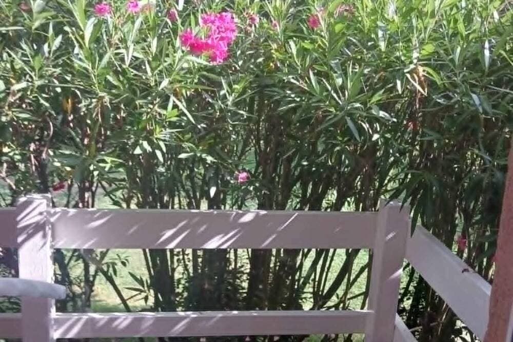 Foto 12 von 28: Die Palms & Lauriers Rosen, Lauriers Rosen