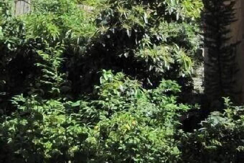 Foto 10 von 30: Are Charme Wohnung im alten Nizza, mit Blick auf den Garten und nahe am Meer