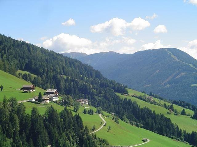 Foto 10 von 19: Wiesentraum
