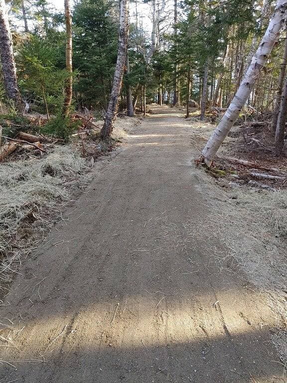 Foto 6 von 47: Tiny cabin Big Charm/Full refund up to 1 day out/Fire pit/ Beach/No pet fee