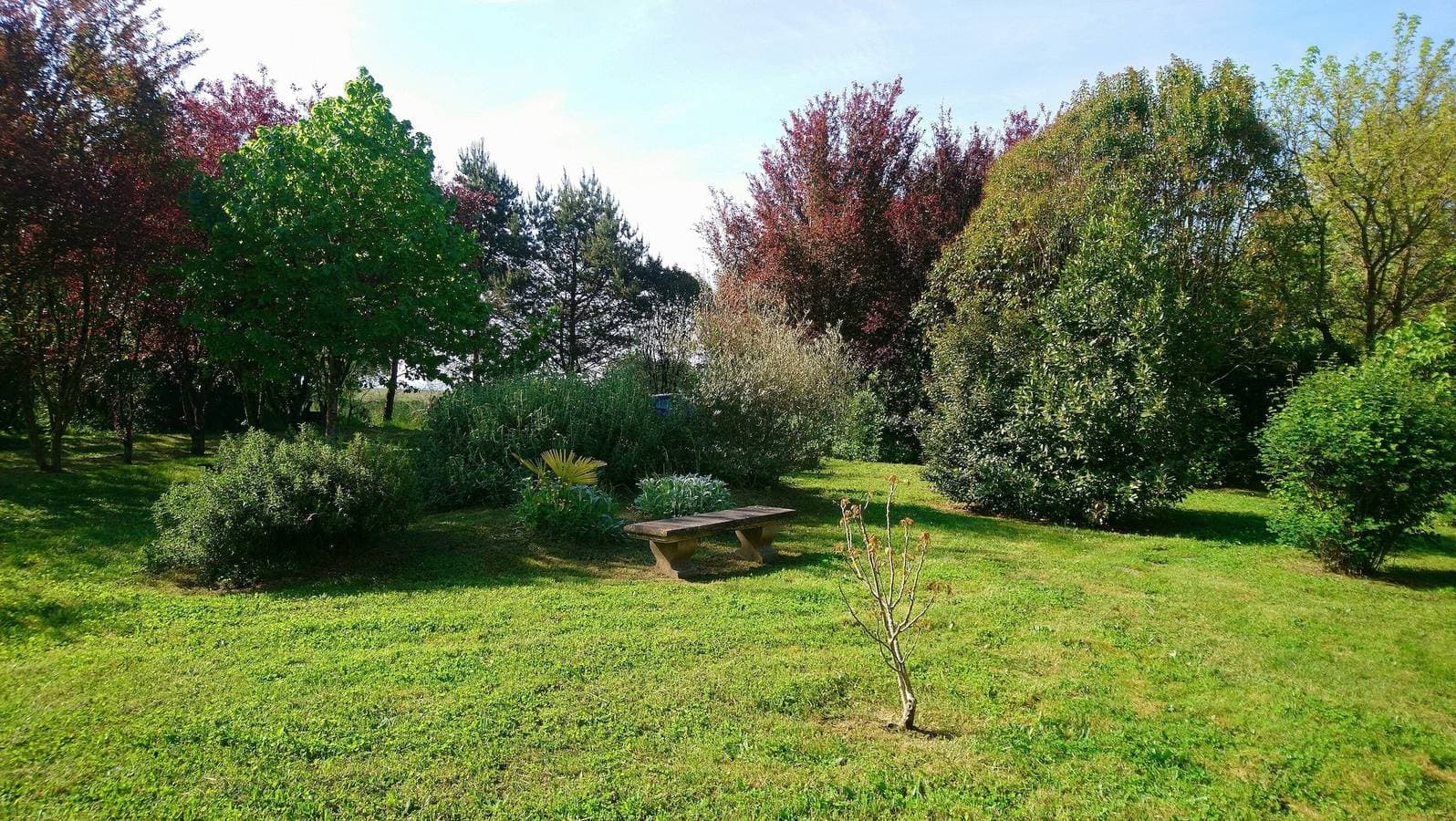 Foto 7 von 15: Ferienhaus für 6 Personen in der ruhigen Landschaft des Tarn