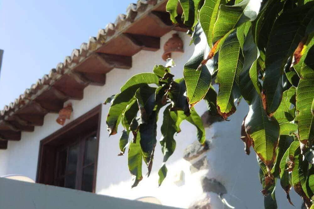 Foto 13 von 27: Villa Delfines (Adults only) - Relax in nature with oceanviews terrace