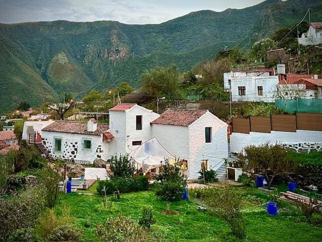 Foto 8 von 76: One-Bedroom Apartment