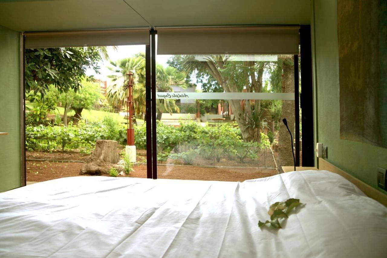 Foto 5 von 13: Double Room with Garden View