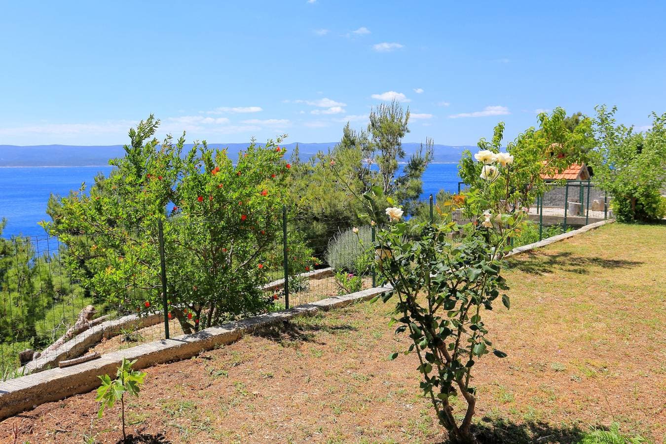 Foto 9 von 29: Studio Appartement mit Terrasse und Meerblick Marusici, Omis As-1024-d