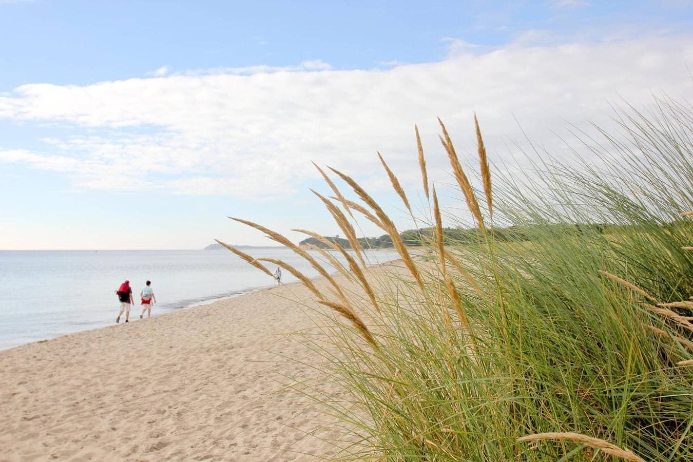 Foto 13 von 19: Ruhige Lage und mit Gartennutzung, nah am Meer - Höftresidenz FeWo 25