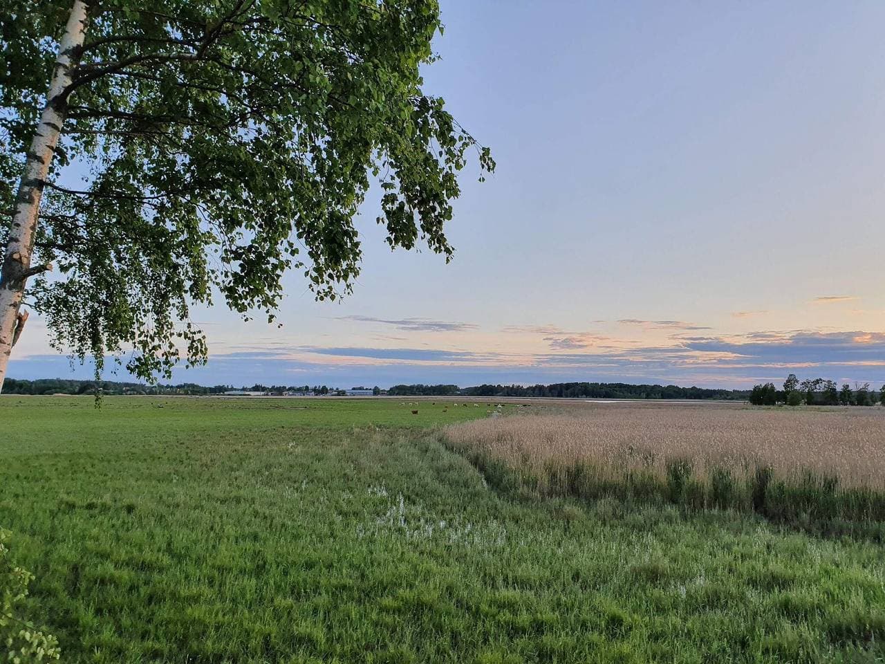 Foto 7 von 30: 6 Personen Ferienhaus in Hammarö