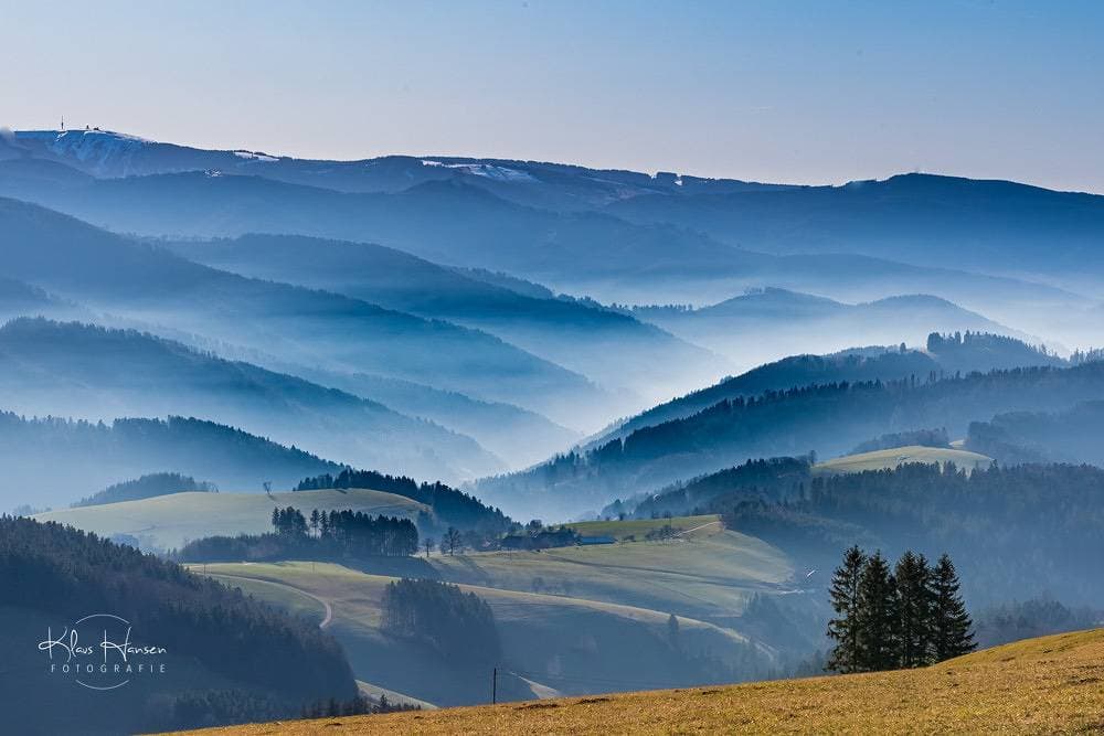 Foto 13 von 24: Hus im Schwefelmättle, Hinterzarten