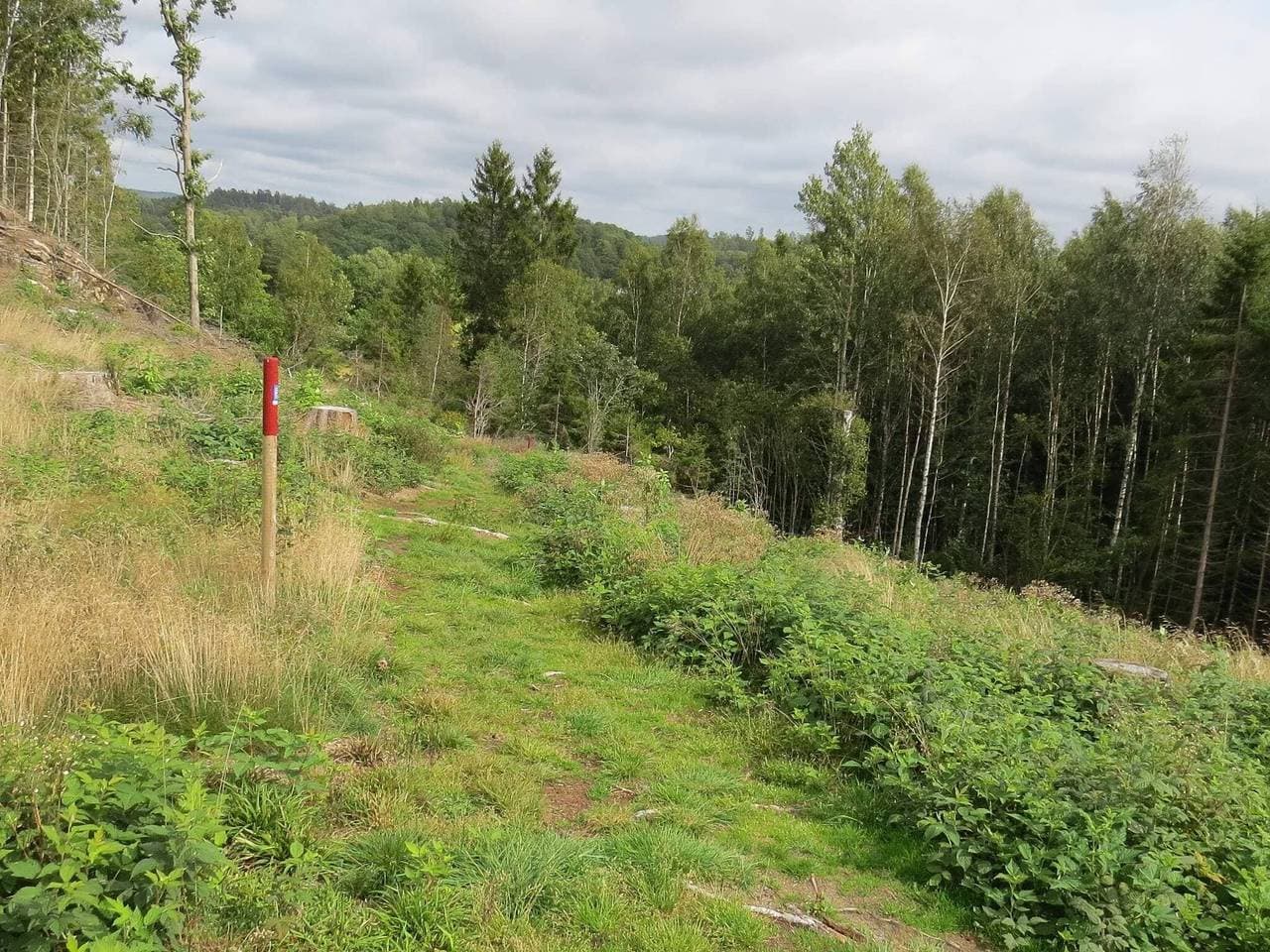 Foto 10 von 36: 5 Personen Ferienhaus in Munkedal