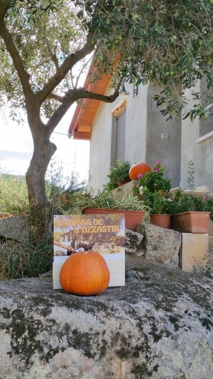 Foto 4 von 35: Holiday Home