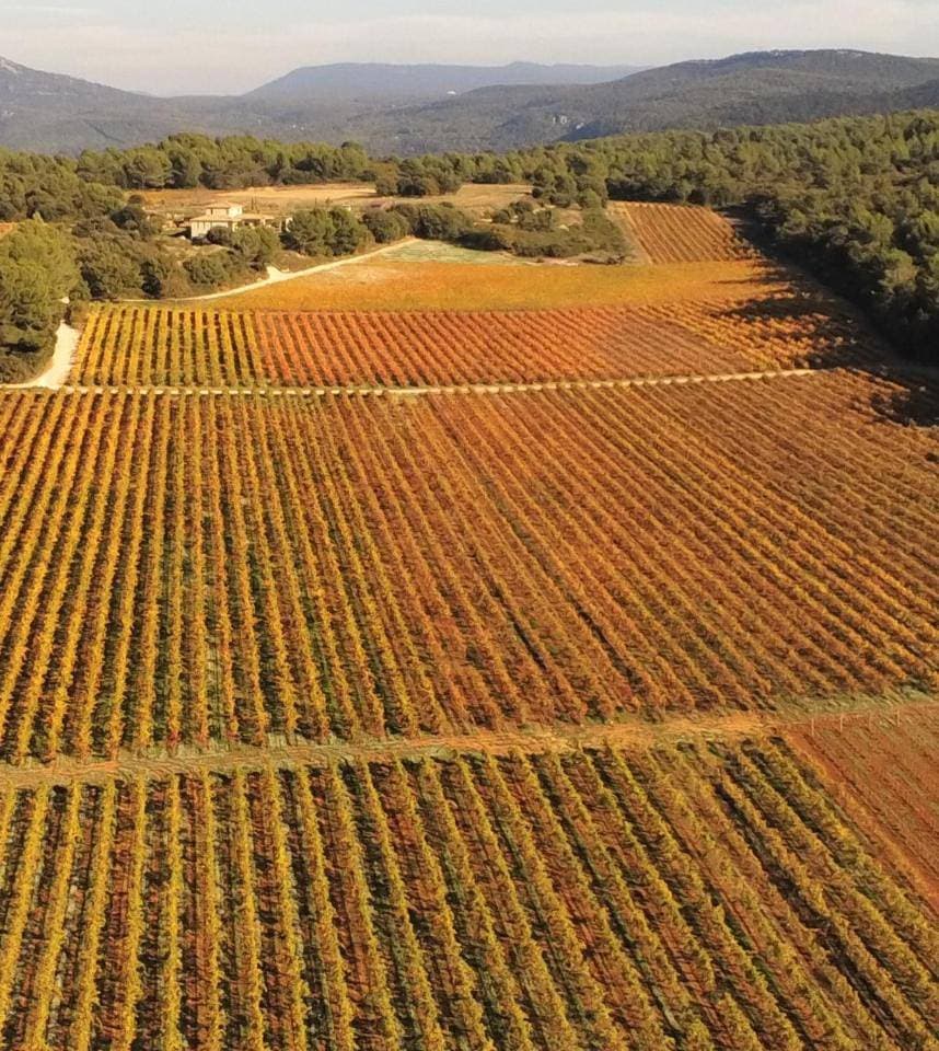 Foto 10 von 17: Piscine chauffée dans les vignes