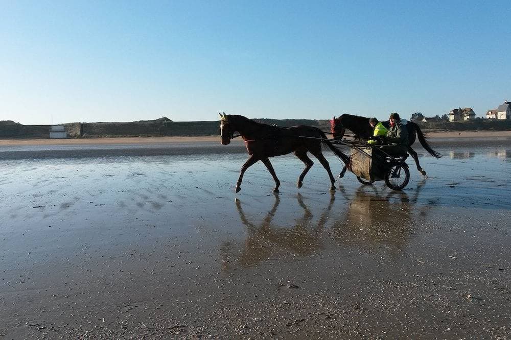 Foto 13 von 18: Cabourg/Le Home: Supervised beach 100 m'away. Close to thalasso and golf.