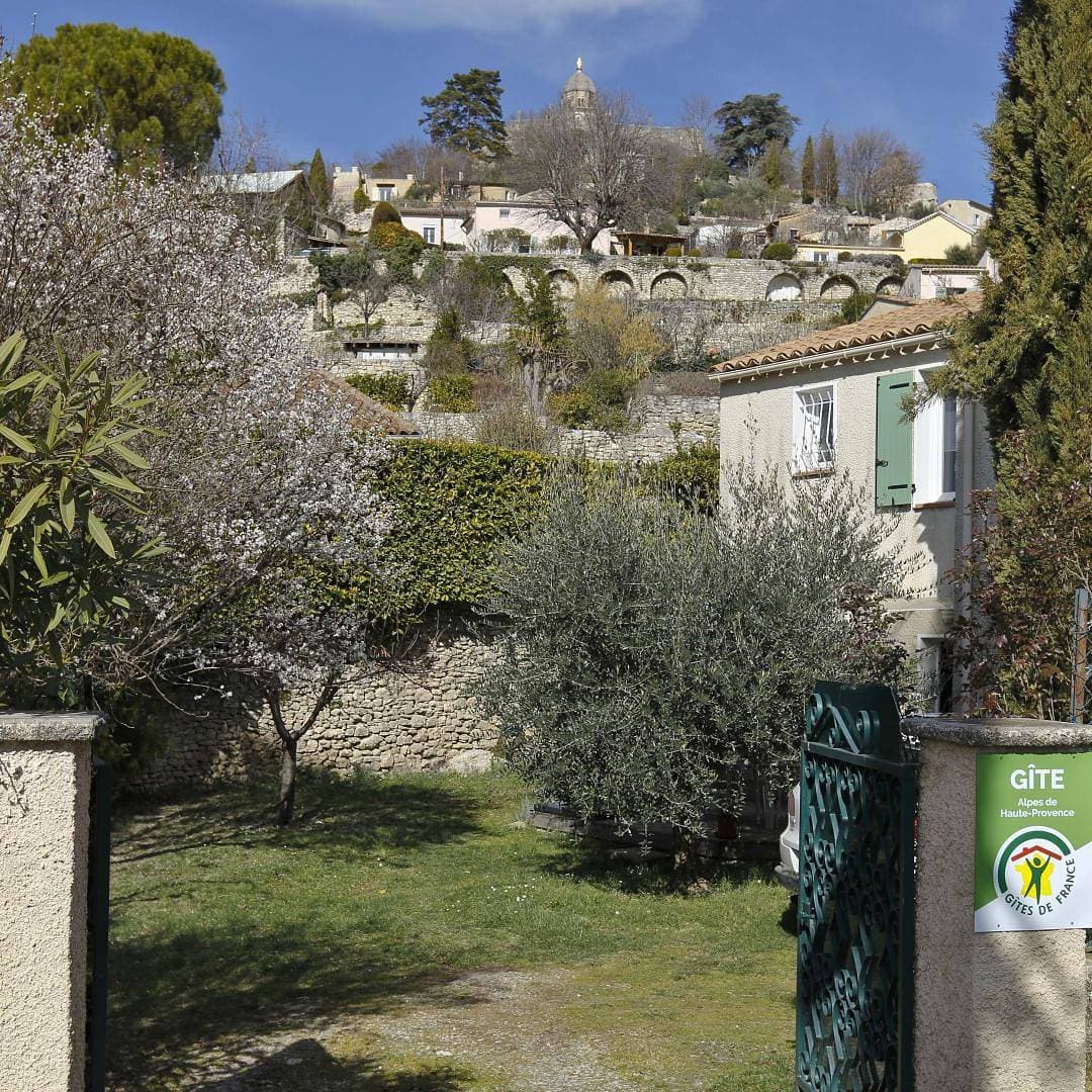 Le Clos de l'Olivier 1