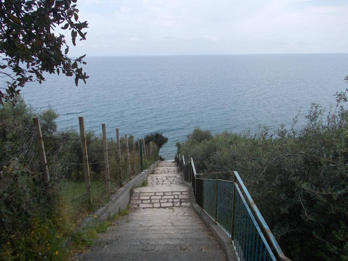 Soleli 1
