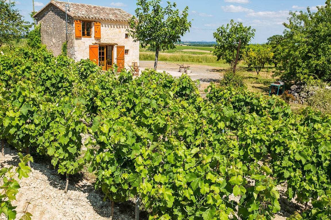 Foto 5 von 15: Ferienhaus „La Cabane du Vigneron“ mit Gemeinschaftspool, privater Terrasse & Klimaanlage