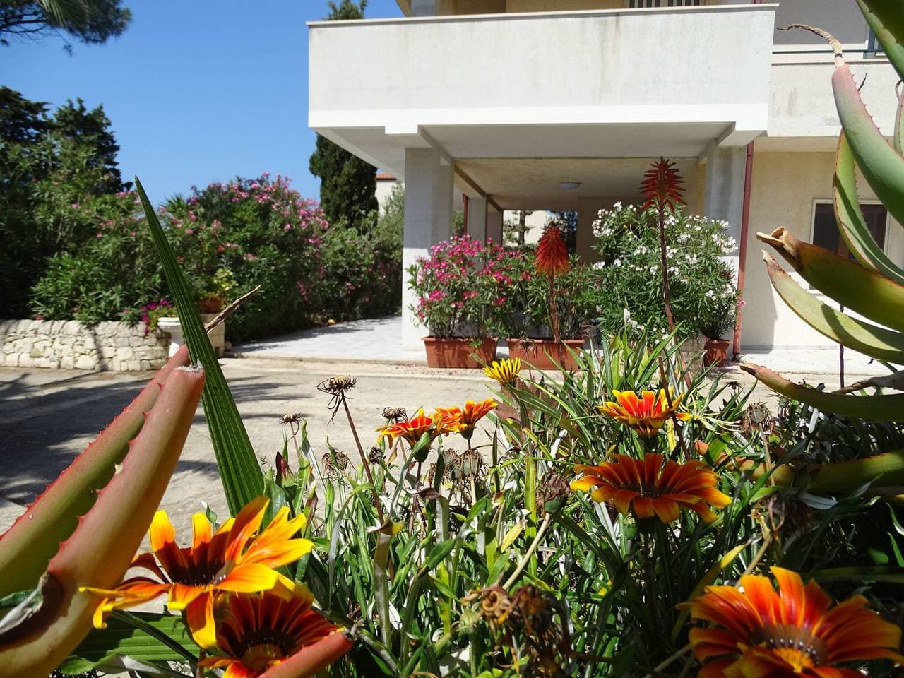 Foto 3 von 43: Mit grosser Terrasse direkt am Meer