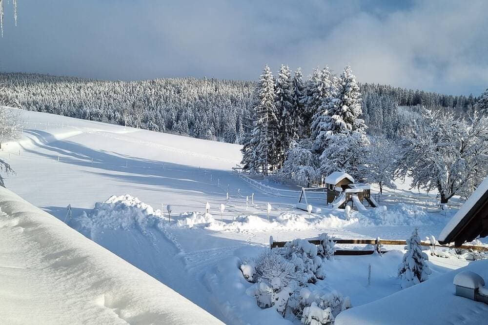 Foto 6 von 9: Urlaub bei uns Daheim