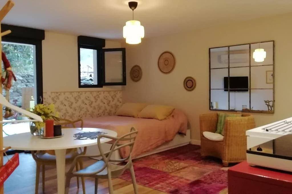 Studio en rez de jardin 1