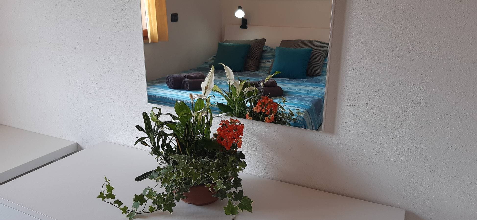 Foto 13 von 23: Casa Cao Appartamento " L' Ulivo"