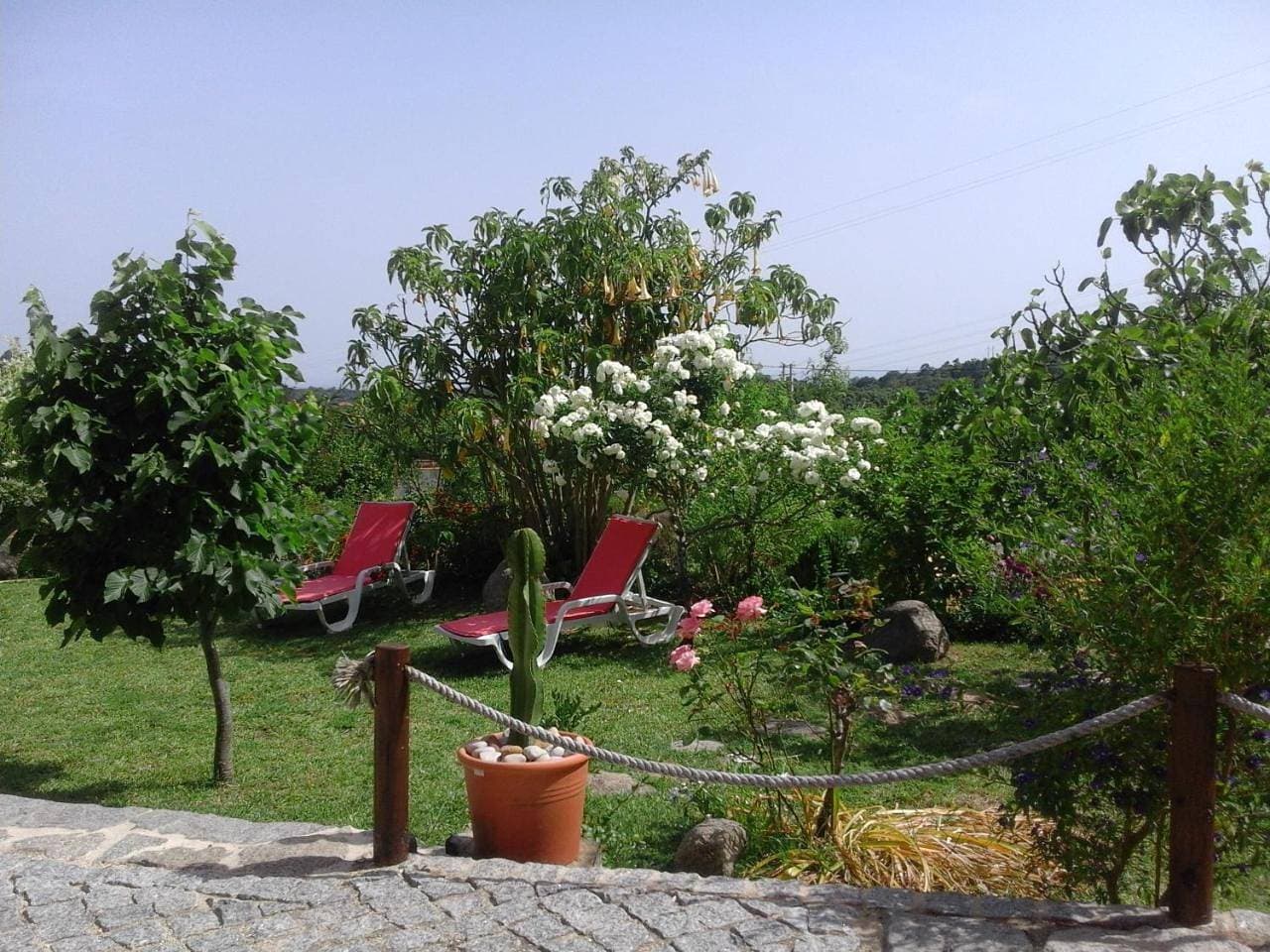 Foto 10 von 16: Studio with Garden View