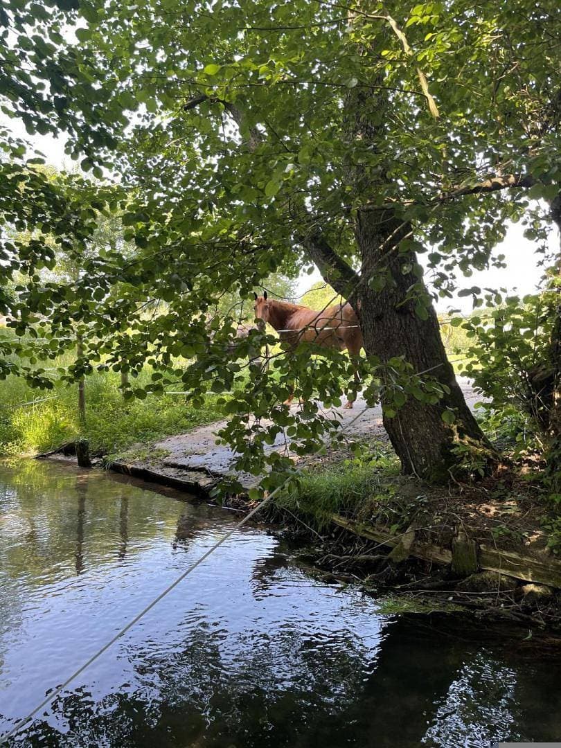 Foto 11 von 32: Gîtes de France® - Le Moulin
