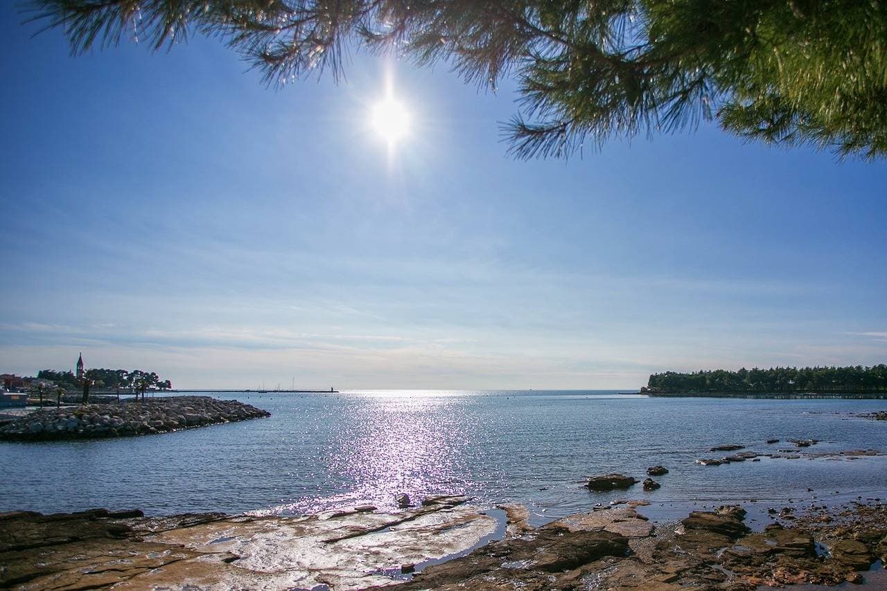 Foto 4 von 17: Apartment Morena Novigrad