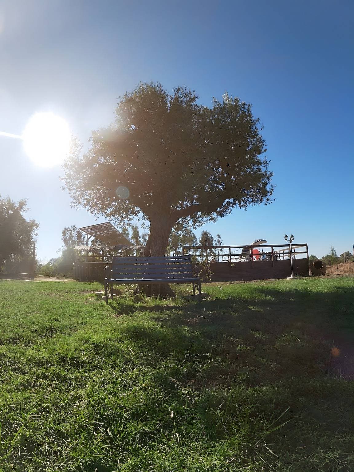 Foto 5 von 29: Landhaus 'Herdade Do Corval' mit Bergblick, WLAN und Klimaanlage