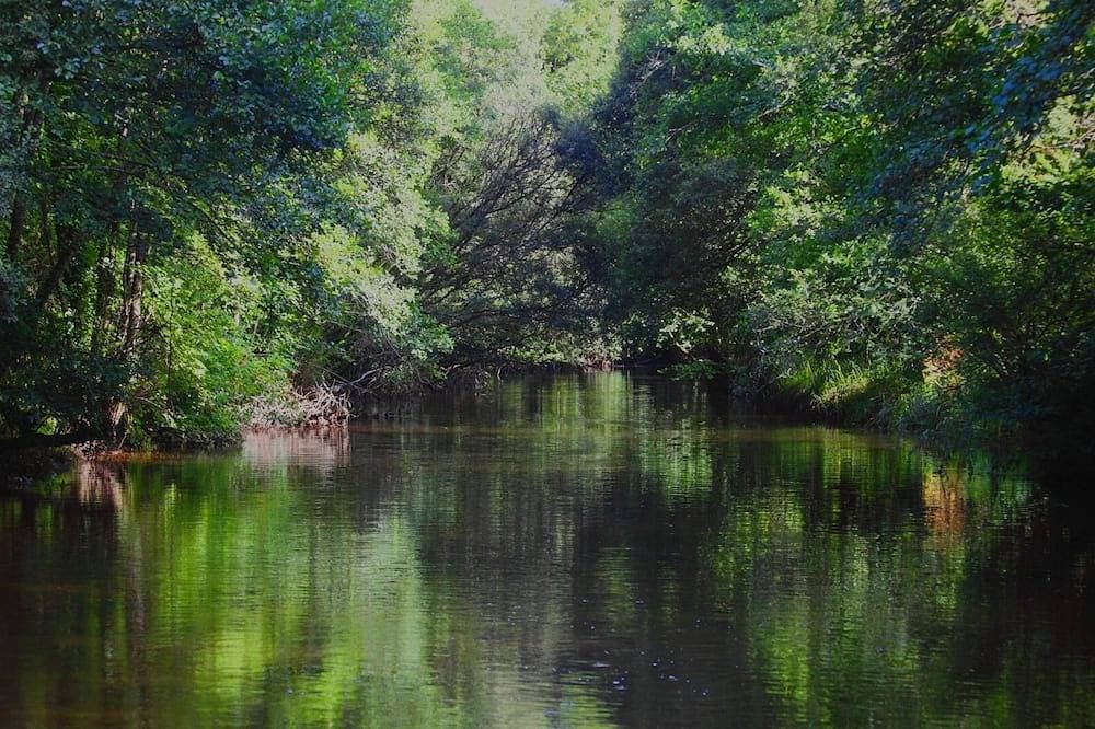 Foto 7 von 7: Idyllic Country Location for couples, central, peaceful, 5 mins from shops, WIFI