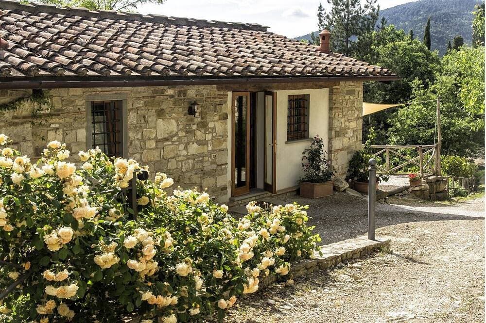 Vineyard cottage, 30 minutes to Florence 1