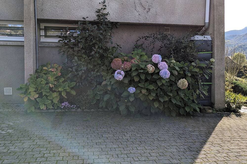 Foto 12 von 24: Terrace, Garden, Apartment 80m², mountain view, wifi, office