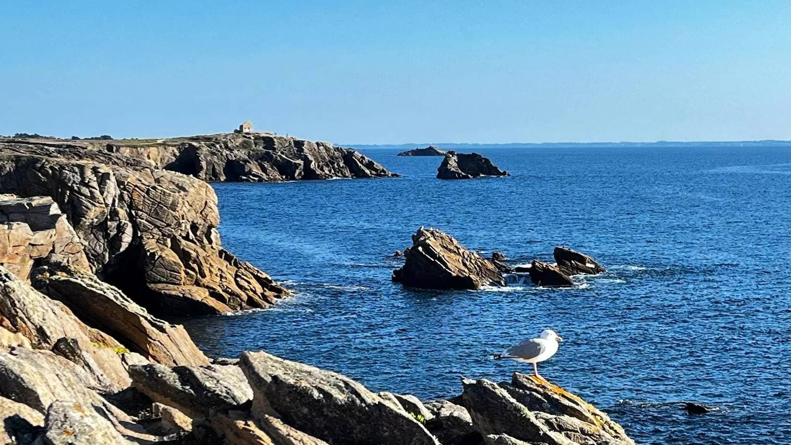 Foto 11 von 15: Quiberon - Studio - 28m2 - Meerblick
