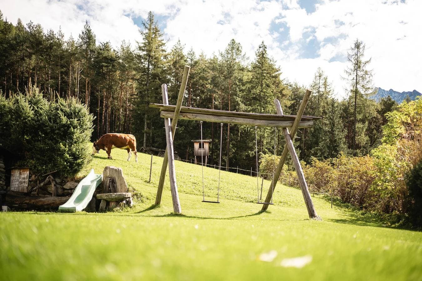 Foto 6 von 18: Ferienwohnung 'Rieplechn App Waldruhe' mit Bergblick, Gemeinschaftsgarten und Wi-Fi