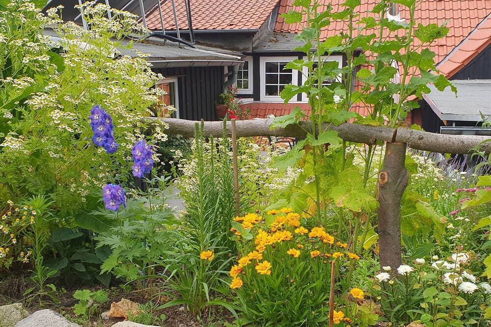 Foto 10 von 24: Ferienwohnung Fichtengrund - 35m² Eg