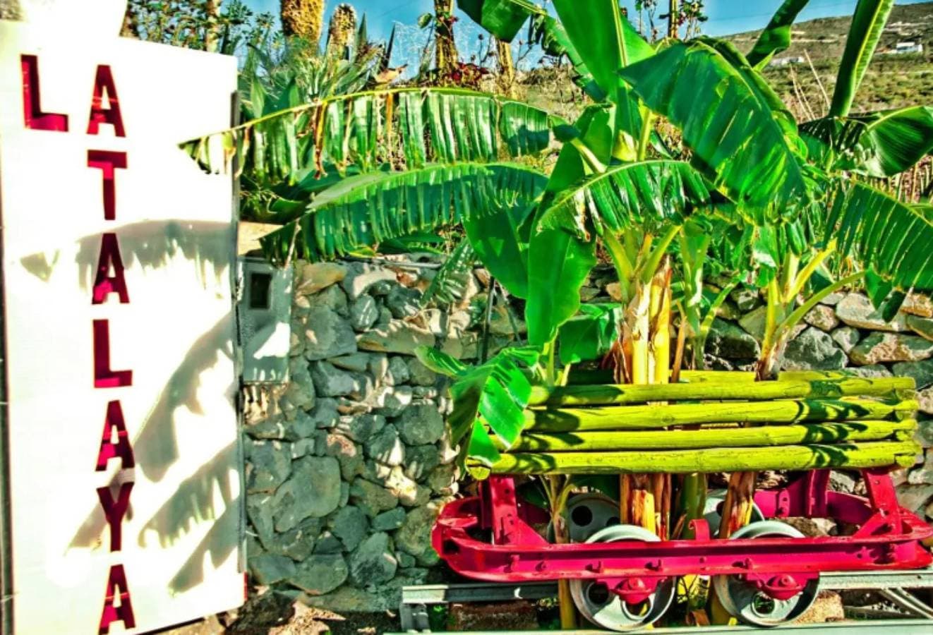 Foto 9 von 33: Urlaub 'Schöne Finca 3 mit Meerblick und Pool' mit Gemeinschaftspool, privater Terrasse und Wi-Fi