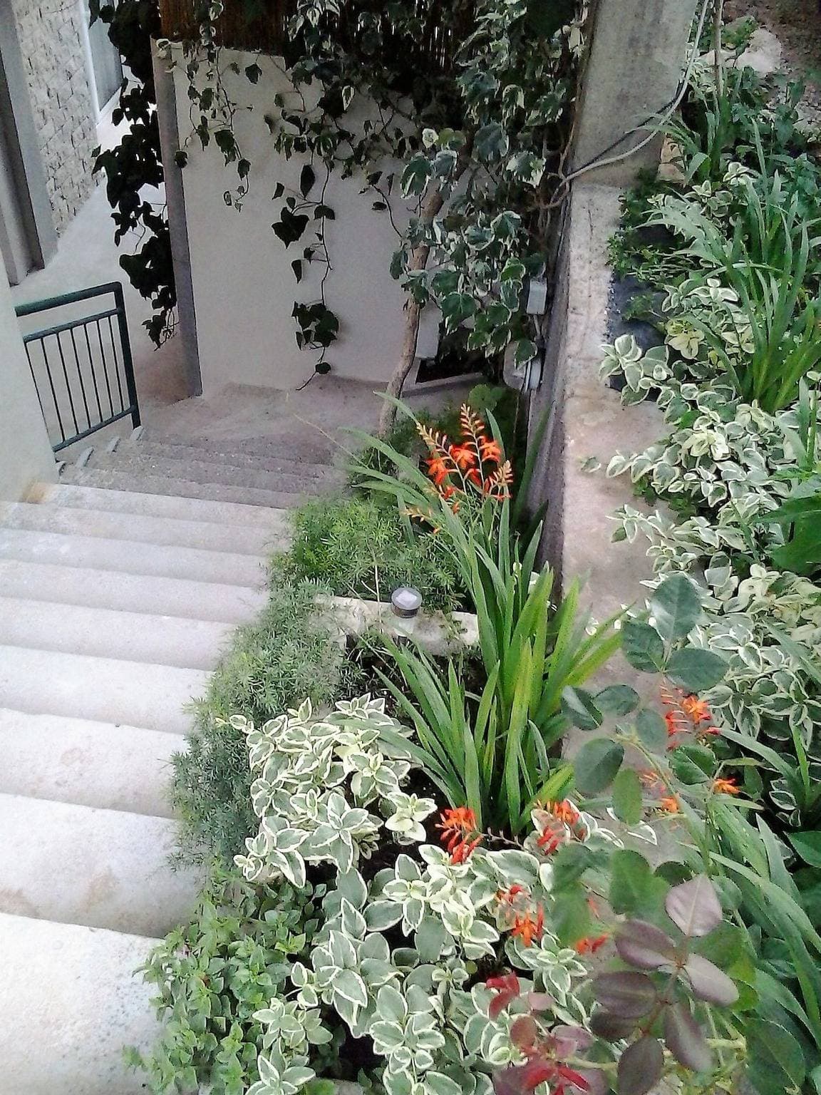 Foto 10 von 20: Zimmer mit Terrasse Drasnice, Makarska S-22573-a