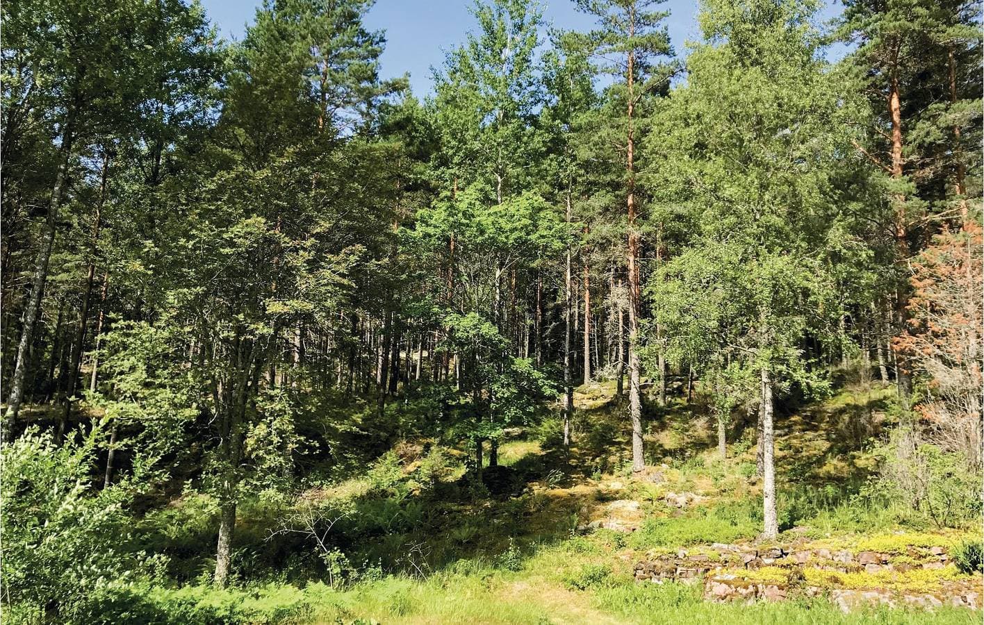 Foto 5 von 15: Ferienhaus für 4 Personen mit Seeblick