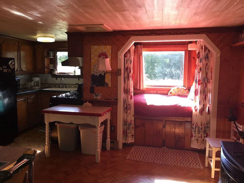 Foto 7 von 36: Charming Cabin-Schöne Umgebung