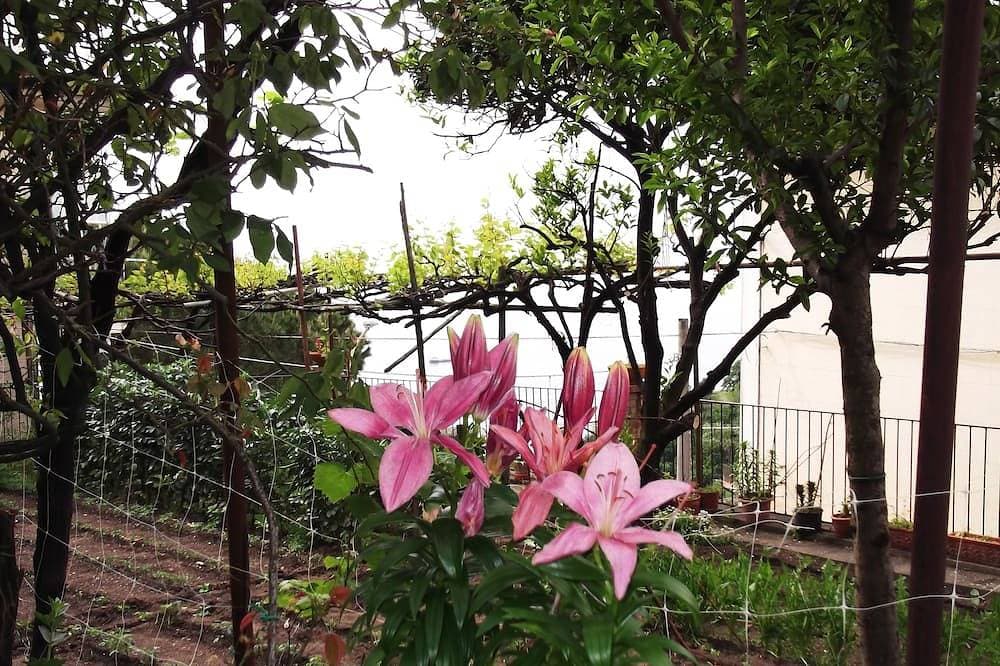 Foto 8 von 27: Mimosen am Anfang der Amalfiküste