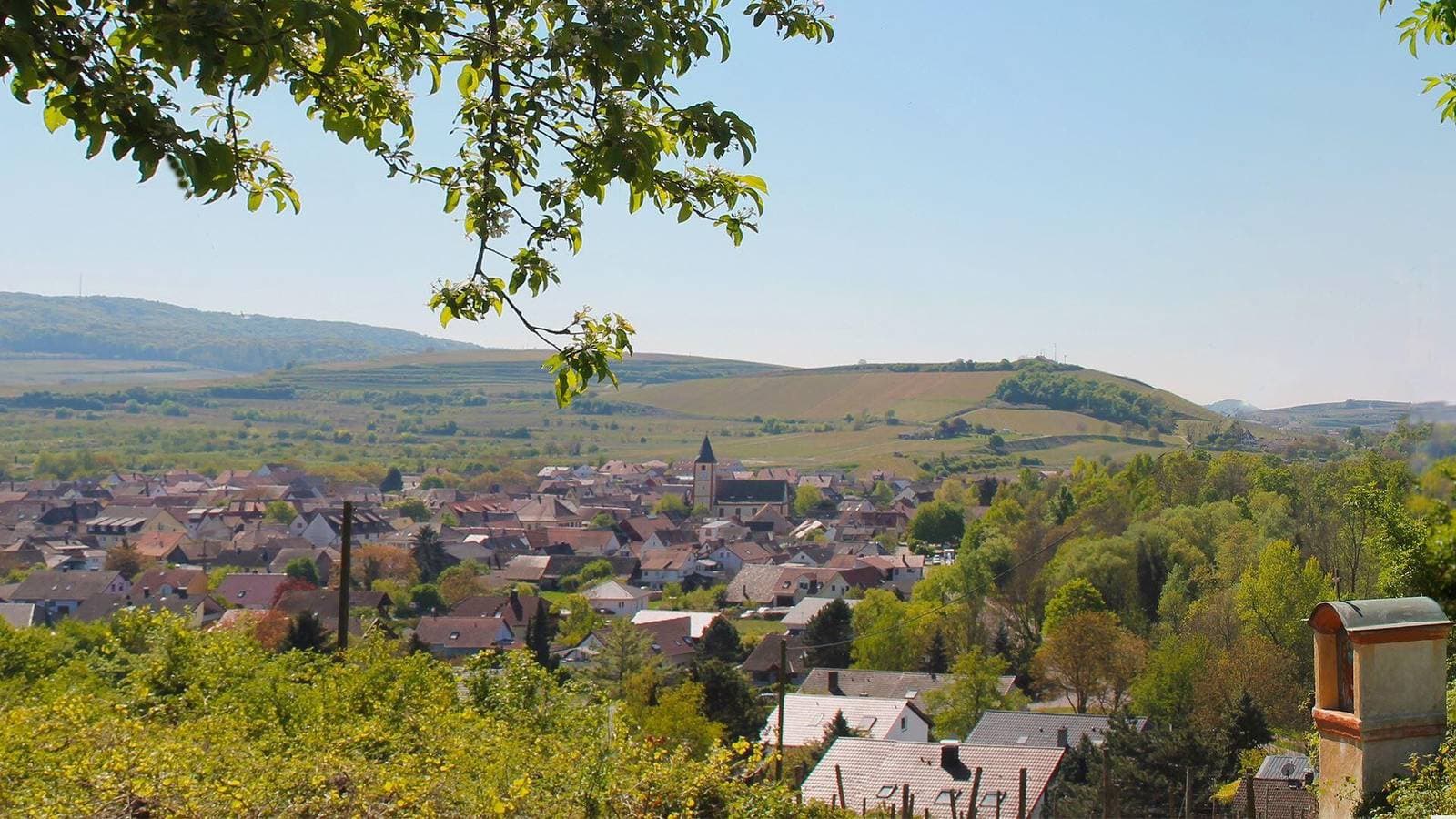 Foto 6 von 19: Ferienwohnung 'A' mit Bergblick, WLAN und Klimaanlage