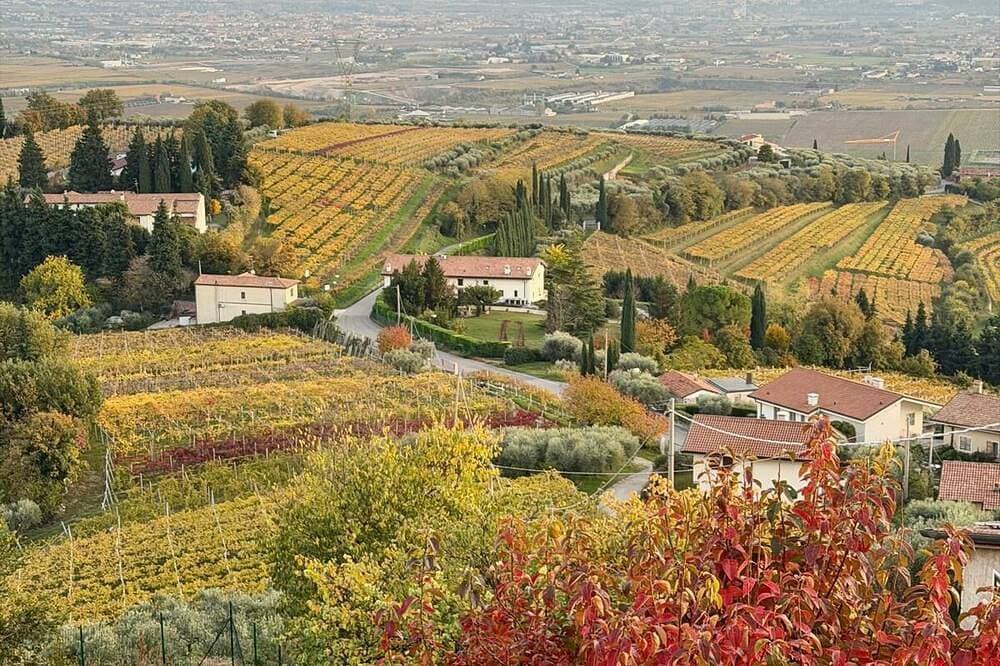 Foto 13 von 30: Casa Vacanze Conca D'Oro Appartamento Rondinella