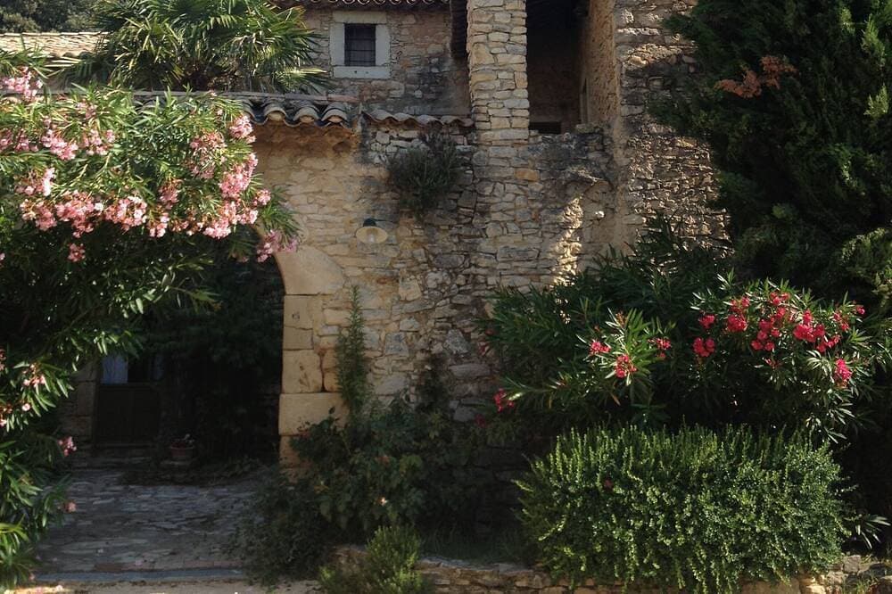 Foto 11 von 25: Provence, privat pool, Ardèche, Avignon, Uzès, spricht Deutsch, dog welcome