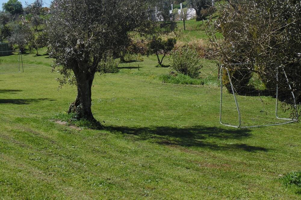 Foto 9 von 22: Villa in Relíquias, Alentejo mit Pool und Blick auf die Berge