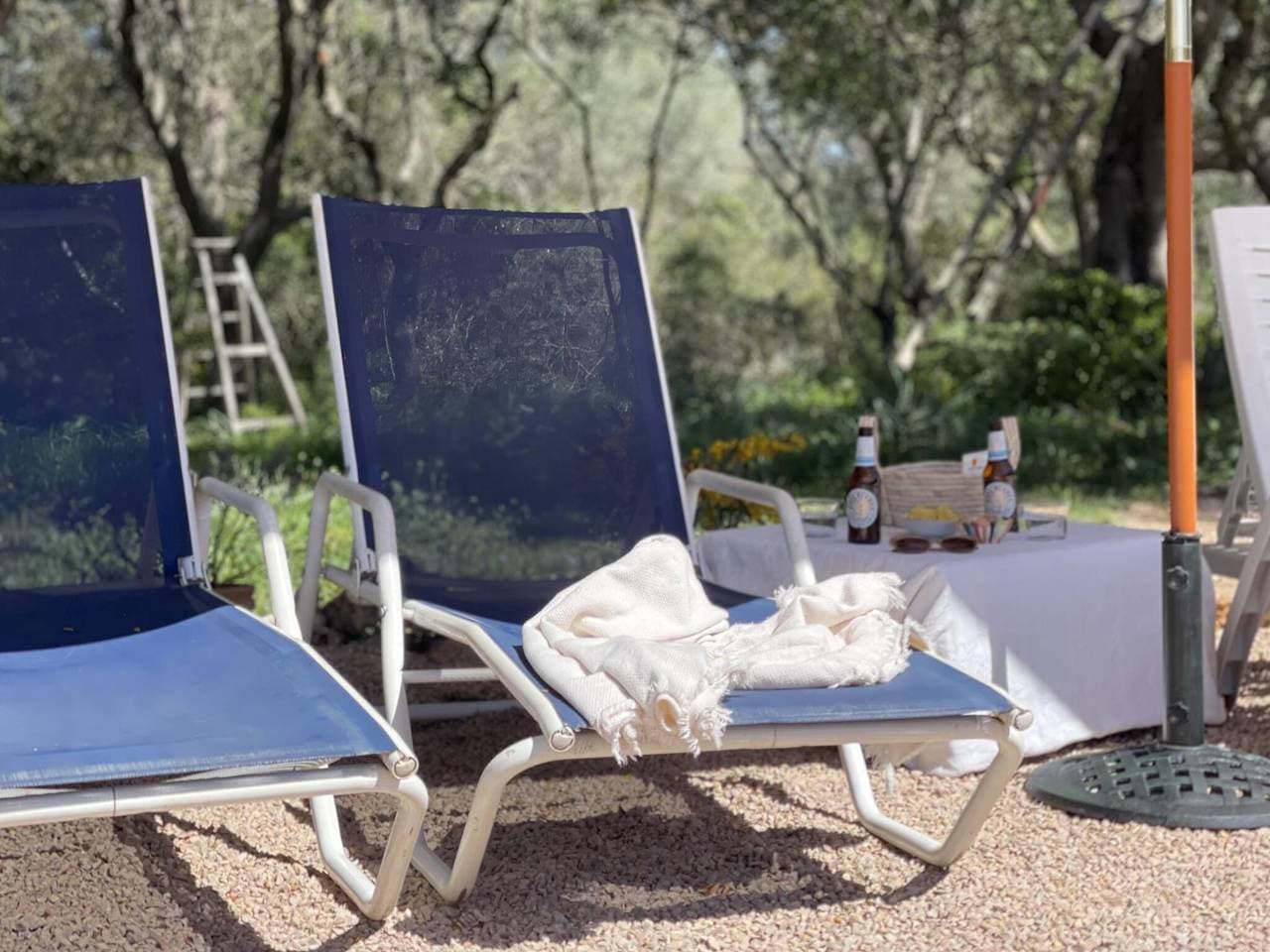 Foto 8 von 38: Finca na Pruna Holiday Home, Lloret, Mallorca