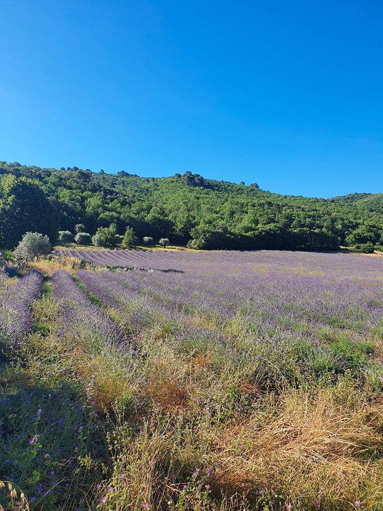 Foto 11 von 15: Le Petit Paradis