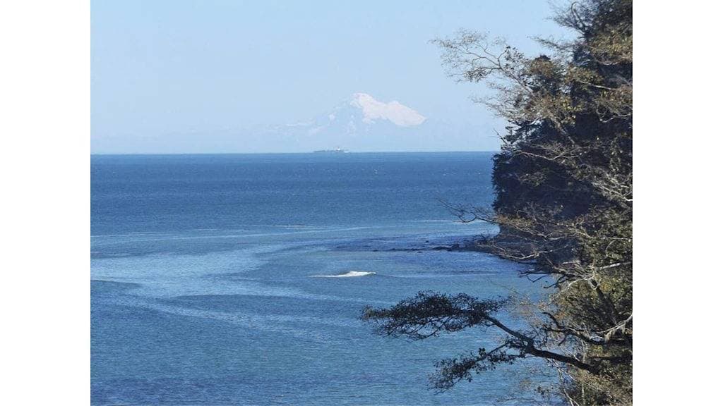 Foto 5 von 10: Strandzelt Camping auf der Straße von Juan De Fuca (T12) - Whisky Creek Beach