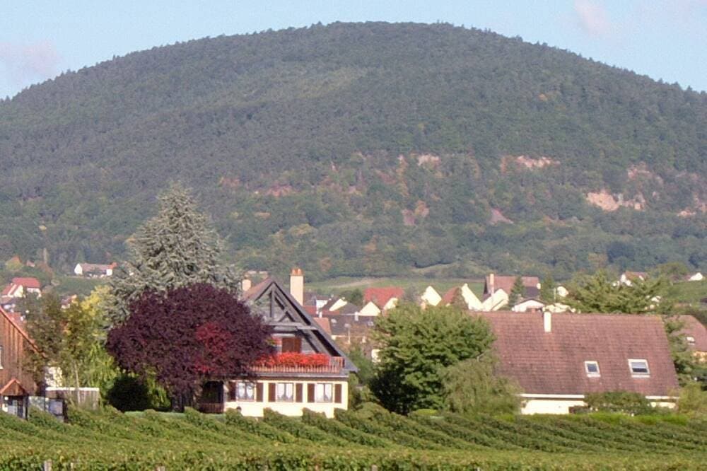 Foto 9 von 25: Gite Colmar Die Oberharth 2-4 Personen In Der Ruhe Liegt